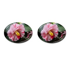 Striped Pink Camellia Ii Cufflinks (oval) by okhismakingart