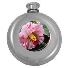 Striped Pink Camellia Ii Round Hip Flask (5 Oz) by okhismakingart