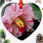 Striped Pink Camellia II Heart Ornament (Two Sides) Front