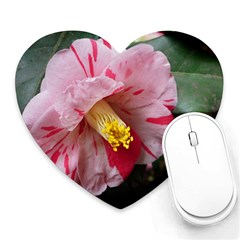 Striped Pink Camellia Ii Heart Mousepads by okhismakingart