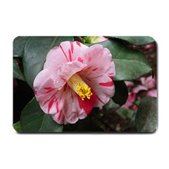 Striped Pink Camellia Ii Small Doormat  by okhismakingart