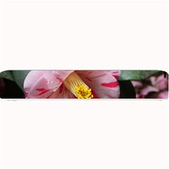 Striped Pink Camellia Ii Small Bar Mats by okhismakingart