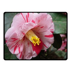 Striped Pink Camellia Ii Fleece Blanket (small) by okhismakingart