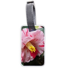 Striped Pink Camellia Ii Luggage Tag (one Side) by okhismakingart