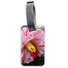 Striped Pink Camellia Ii Luggage Tag (two Sides) by okhismakingart