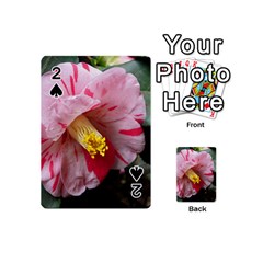 Striped Pink Camellia Ii Playing Cards 54 Designs (mini)