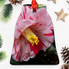 Striped Pink Camellia Ii Ornament (bell)