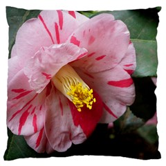 Striped Pink Camellia Ii Large Cushion Case (one Side) by okhismakingart