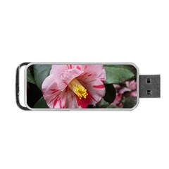 Striped Pink Camellia Ii Portable Usb Flash (two Sides) by okhismakingart