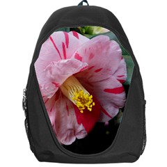 Striped Pink Camellia Ii Backpack Bag by okhismakingart