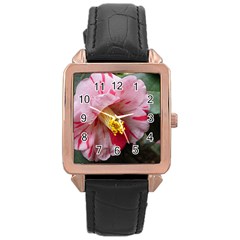 Striped Pink Camellia Ii Rose Gold Leather Watch  by okhismakingart