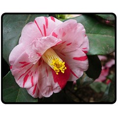 Striped Pink Camellia Ii Double Sided Fleece Blanket (medium)  by okhismakingart