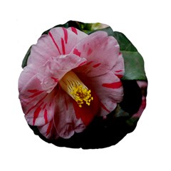 Striped Pink Camellia Ii Standard 15  Premium Flano Round Cushions by okhismakingart