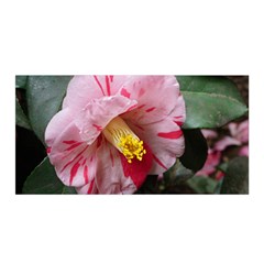 Striped Pink Camellia Ii Satin Wrap by okhismakingart