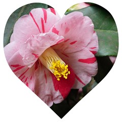 Striped Pink Camellia Ii Wooden Puzzle Heart by okhismakingart