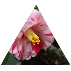 Striped Pink Camellia Ii Wooden Puzzle Triangle by okhismakingart