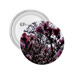 Saucer Magnolia Tree Ii 2 25  Buttons by okhismakingart