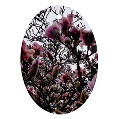 Saucer Magnolia Tree Ii Ornament (oval) by okhismakingart