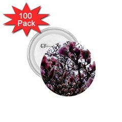 Saucer Magnolia Tree Ii 1 75  Buttons (100 Pack)  by okhismakingart