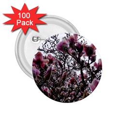 Saucer Magnolia Tree Ii 2 25  Buttons (100 Pack)  by okhismakingart