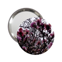 Saucer Magnolia Tree Ii 2 25  Handbag Mirrors by okhismakingart