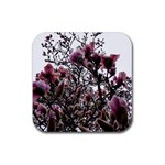 Saucer Magnolia Tree II Rubber Coaster (Square)  Front