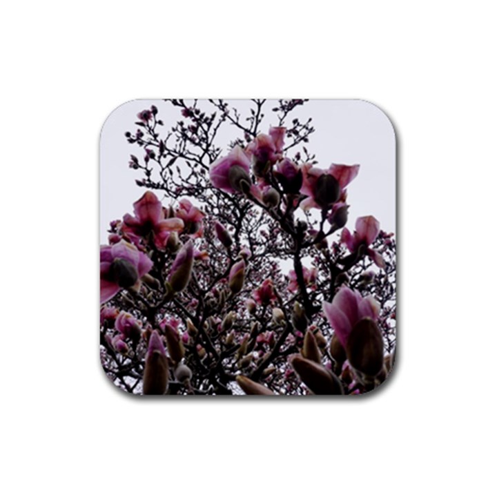 Saucer Magnolia Tree II Rubber Coaster (Square) 