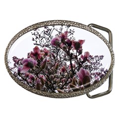 Saucer Magnolia Tree Ii Belt Buckles by okhismakingart