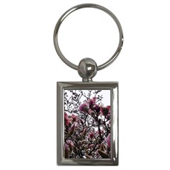 Saucer Magnolia Tree Ii Key Chain (rectangle) by okhismakingart