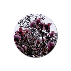 Saucer Magnolia Tree Ii Rubber Coaster (round)  by okhismakingart