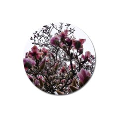 Saucer Magnolia Tree Ii Magnet 3  (round) by okhismakingart