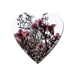 Saucer Magnolia Tree Ii Heart Magnet by okhismakingart