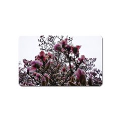 Saucer Magnolia Tree Ii Magnet (name Card) by okhismakingart