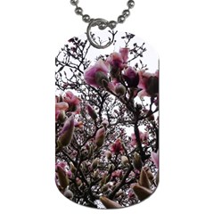 Saucer Magnolia Tree Ii Dog Tag (one Side) by okhismakingart