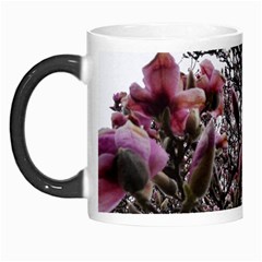 Saucer Magnolia Tree Ii Morph Mugs by okhismakingart