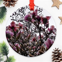 Saucer Magnolia Tree Ii Round Ornament (two Sides) by okhismakingart