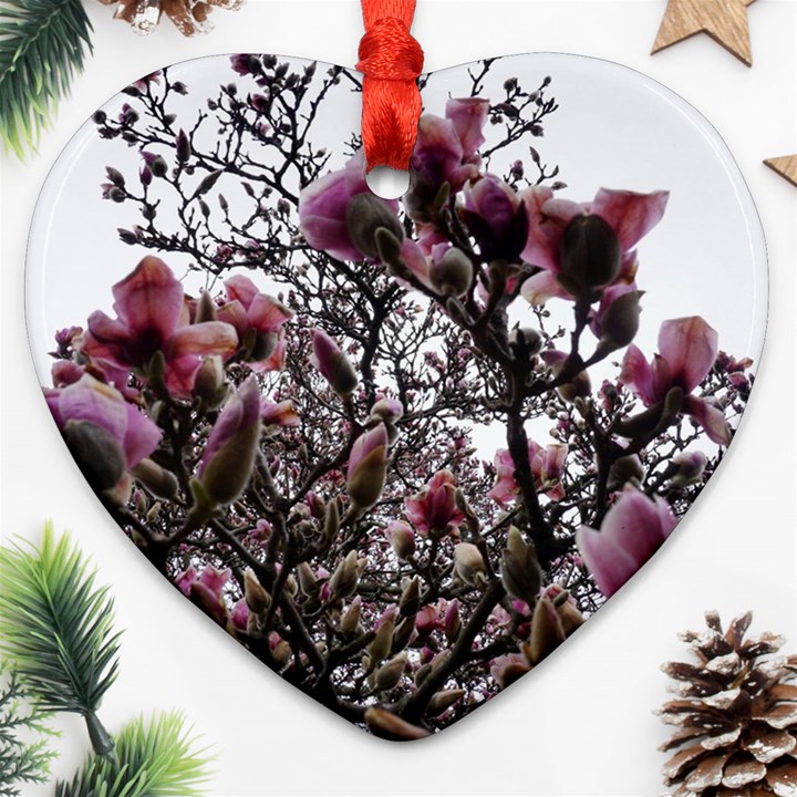 Saucer Magnolia Tree II Heart Ornament (Two Sides)