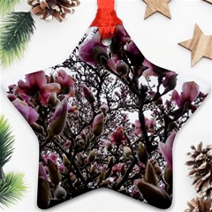 Saucer Magnolia Tree Ii Star Ornament (two Sides)