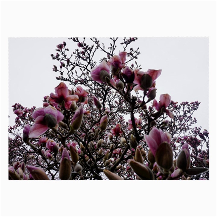 Saucer Magnolia Tree II Large Glasses Cloth