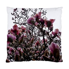 Saucer Magnolia Tree Ii Standard Cushion Case (two Sides) by okhismakingart