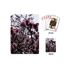 Saucer Magnolia Tree Ii Playing Cards Single Design (mini)