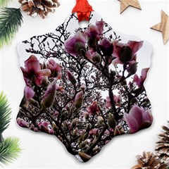 Saucer Magnolia Tree Ii Snowflake Ornament (two Sides)