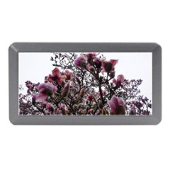 Saucer Magnolia Tree Ii Memory Card Reader (mini) by okhismakingart