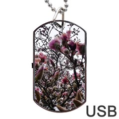 Saucer Magnolia Tree Ii Dog Tag Usb Flash (two Sides) by okhismakingart