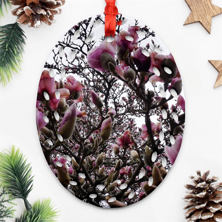 Saucer Magnolia Tree II Ornament (Oval Filigree)