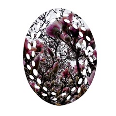 Saucer Magnolia Tree Ii Oval Filigree Ornament (two Sides) by okhismakingart