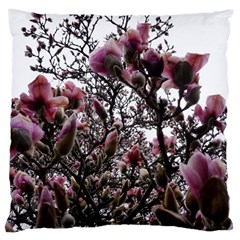 Saucer Magnolia Tree Ii Large Cushion Case (two Sides)