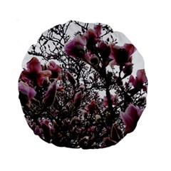 Saucer Magnolia Tree Ii Standard 15  Premium Round Cushions by okhismakingart