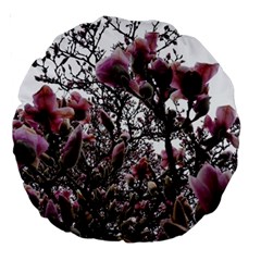 Saucer Magnolia Tree Ii Large 18  Premium Round Cushions