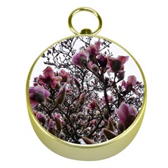 Saucer Magnolia Tree Ii Gold Compasses by okhismakingart